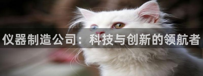 欧豪娱乐星天地采访：仪器制造公司：科技与创新的领航者