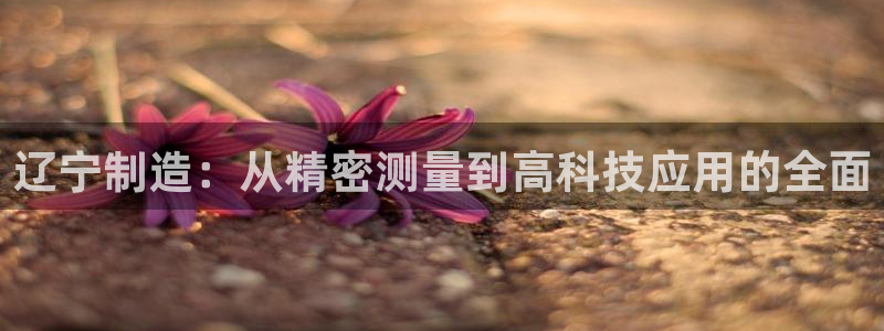 星欧娱乐注册40046：辽宁制造：从精密测量到高科技应用的全