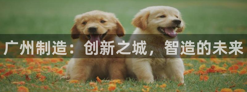 武汉欧汇星娱乐有限公司：广州制造：创新之城，智造的未来