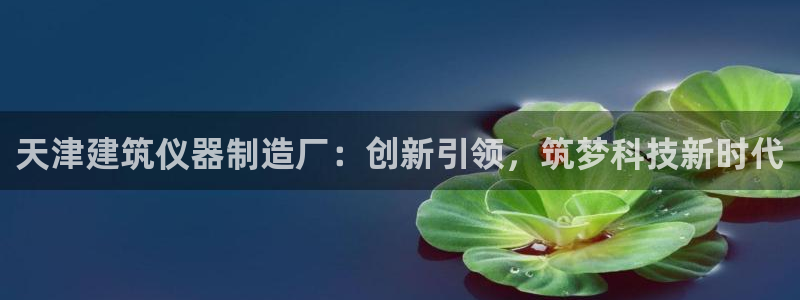欧星娱乐的盘口：天津建筑仪器制造厂：创新引领，筑梦科技新时代