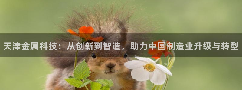 星欧娱乐最新消息：天津金属科技：从创新到智造，助力中国制造业