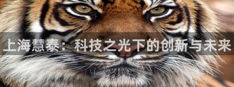 欧星国际娱乐：上海慧泰：科技之光下的创新与未来