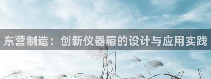 星欧娱乐登录入口：东营制造：创新仪器箱的设计与应用实践