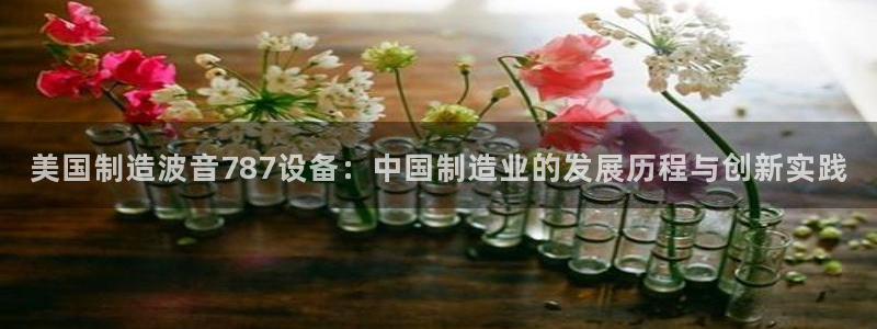 星欧娱乐登录后怎么登录：美国制造波音787设备：中国制造业的
