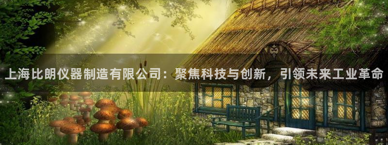 武汉欧汇星娱乐城：上海比朗仪器制造有限公司：聚焦科技与创新，