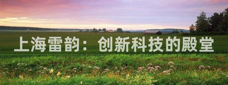 星欧娱乐伐官网注册：上海雷韵：创新科技的殿堂