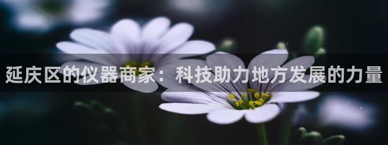 星辉娱乐进入欧连杯：延庆区的仪器商家：科技助力地方发展的力量