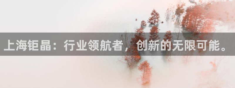 星欧娱乐掌7O777：上海钜晶：行业领航者，创新的无限可能。
