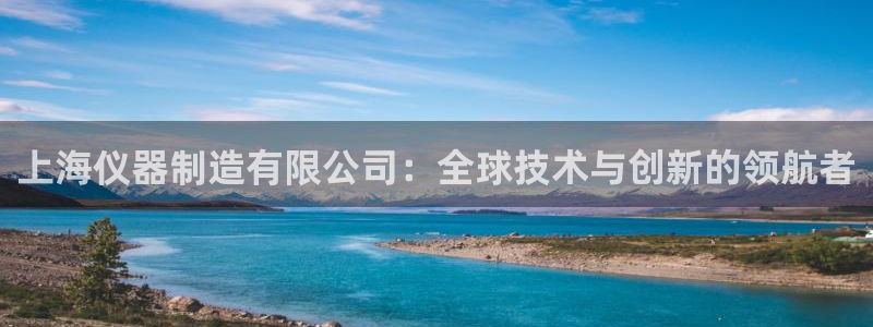 星欧娱乐最新版下载链接：上海仪器制造有限公司：全球技术与创新