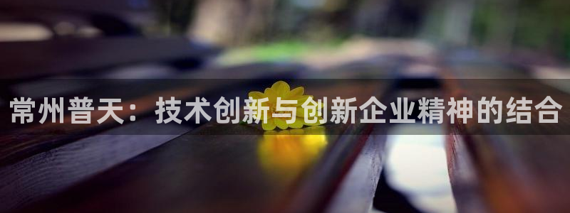 星欧娱乐平台app下载：常州普天：技术创新与创新企业精神的结