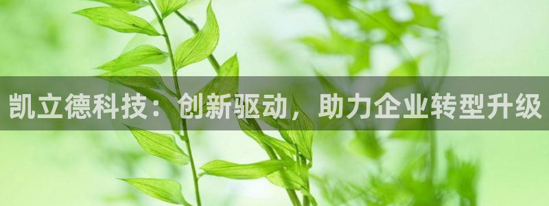 欧星在线娱乐下载安装：凯立德科技：创新驱动，助力企业转型升级