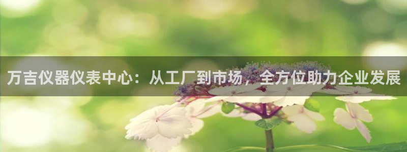 星欧娱乐彩票软件下载：万吉仪器仪表中心：从工厂到市场，全方位