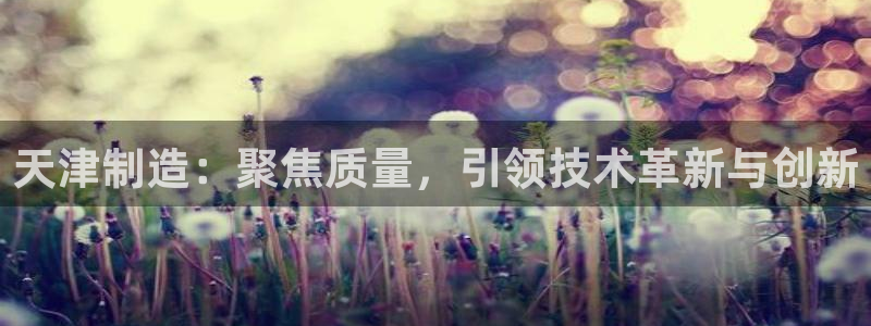 星欧娱乐官方网页版入口：天津制造：聚焦质量，引领技术革新与创