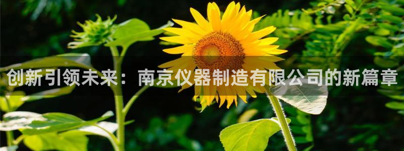 世欧星途娱乐：创新引领未来：南京仪器制造有限公司的新篇章