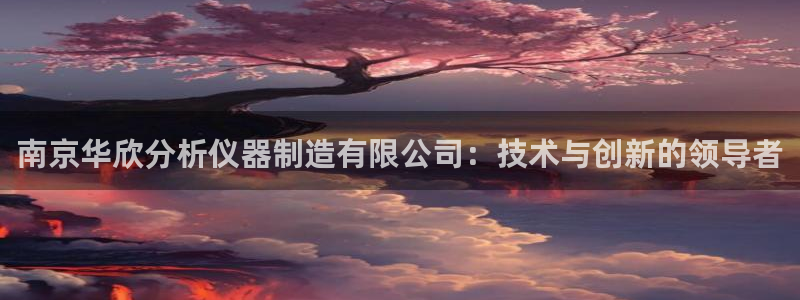 星欧娱乐平台登陆地址：南京华欣分析仪器制造有限公司：技术与创