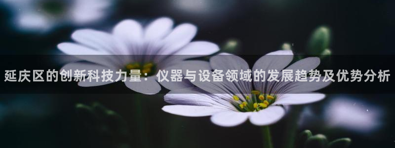 欧尼匠星娱乐：延庆区的创新科技力量：仪器与设备领域的发展趋势