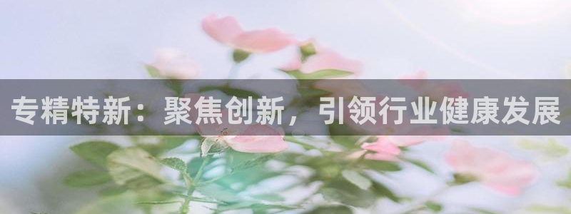 娱乐星扒客欧豪：专精特新：聚焦创新，引领行业健康发展